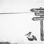 Gut Boltenhof Hotel Fürstenberg-Havel