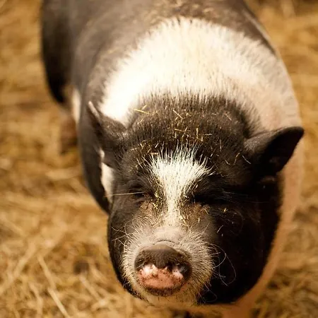 Gut Boltenhof Fürstenberg-Havel