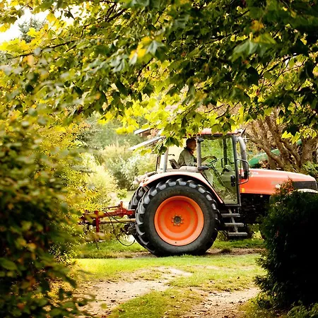 Gut Boltenhof فندق Fürstenberg-Havel