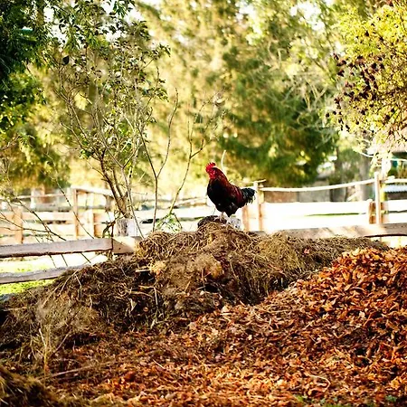 Gut Boltenhof Fürstenberg-Havel