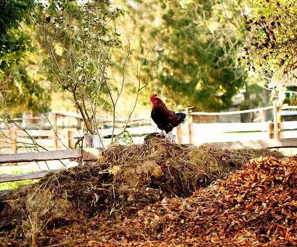 Gut Boltenhof Fürstenberg-Havel
