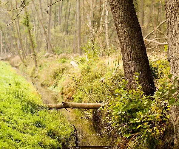 Hotel Gut Boltenhof *