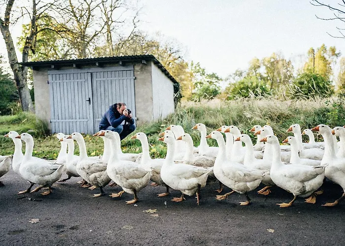 Gut Boltenhof Hotel *
