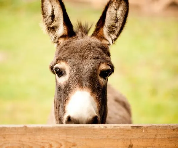 Gut Boltenhof * Fürstenberg-Havel